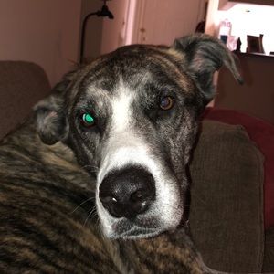 Meet your Posher, Kim